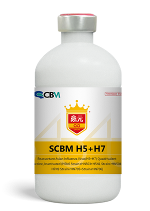 SCBM H5+H7